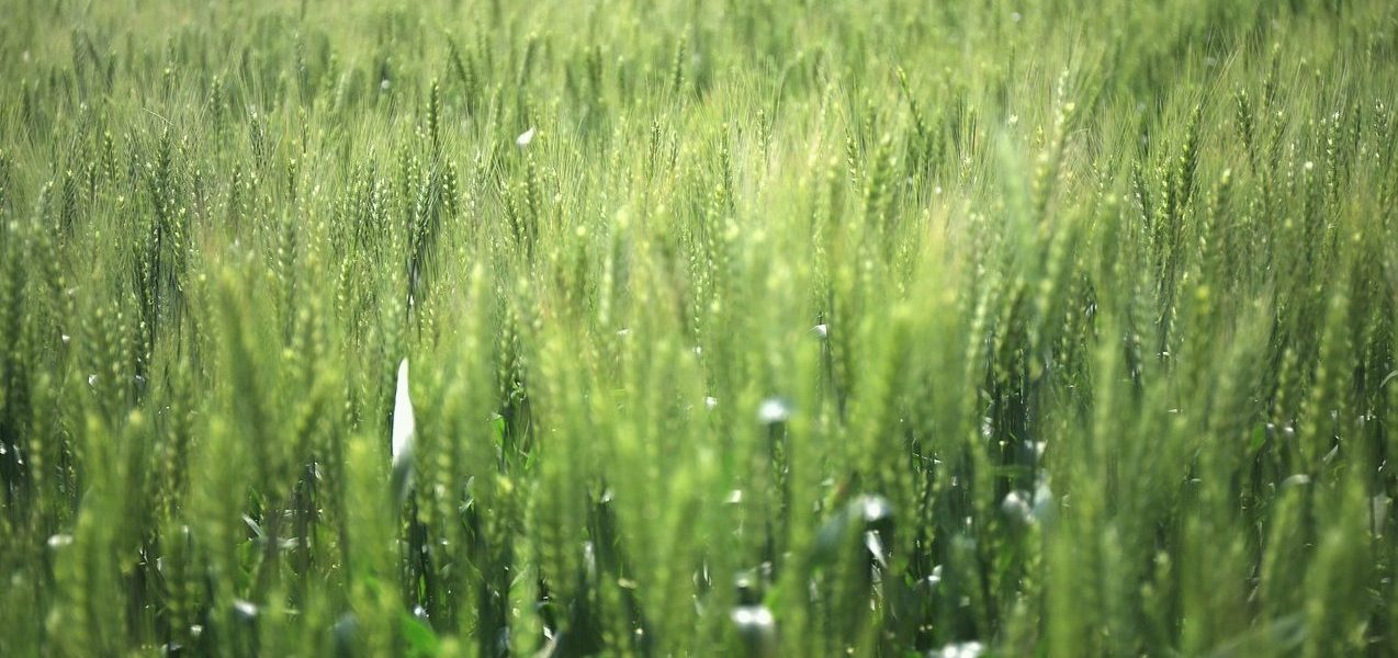 大小球深度解析：游戏返水返利全攻略与高效申请技巧